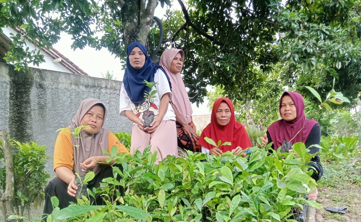 Perkuat Kas Kelompok, KWT Cahaya Gemilang Buka Pemesanan Bibit Kopi